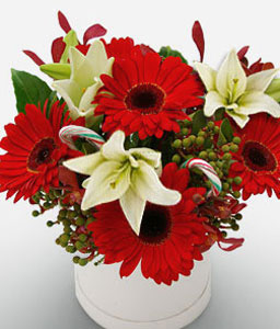 Classic Posy Box - Gerbera & Lilies