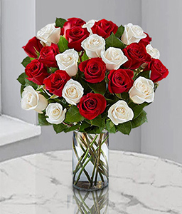 Opulent Seduction - Red & White Roses