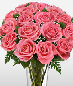 Glorious Pink Roses - 12 + 8 Free Offer