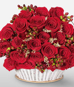 Medellin Magic - Red Roses Arrangement