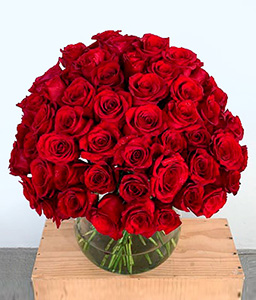 Scarlet Elegance <Br><span>50 Long Stem Roses</span>