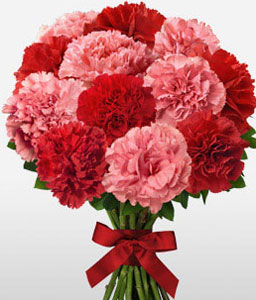 Double Up<Br><span>Red and Pink Carnation Bouquet</span>