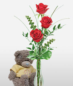 Teddy Roses