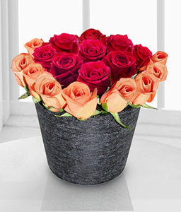 Crimson Sunset - 18 Mixed Roses in Vase