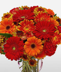 Sydney Sunset - Fresh Gerberas