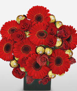 Scrumptious Red Gerberas