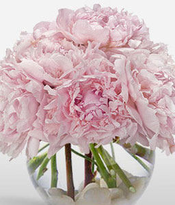 Precious Peonies <Br><span>Complimentary Vase </span>