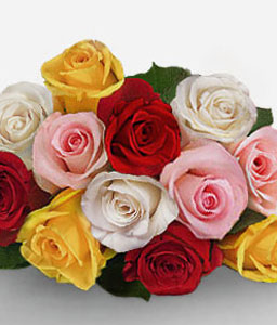 Alluring Dream - Mixed Roses