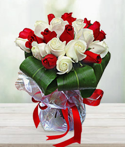 Red & White Roses