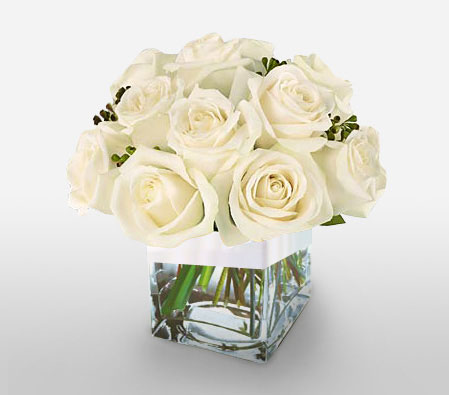 Maid in White-White,Rose,Arrangement