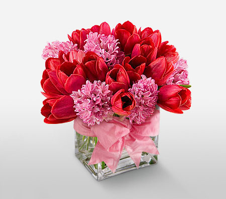 Fusion Lush-Pink,Red,Tulip,Arrangement