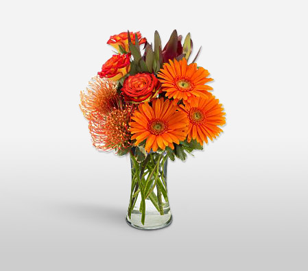 Fireball-Orange,Gerbera,Arrangement