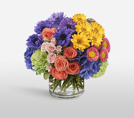 Paint My Love-Blue,Mixed,Orange,Pink,Yellow,Mixed Flower,Gerbera,Daisy,Chrysanthemum,Rose,Arrangement