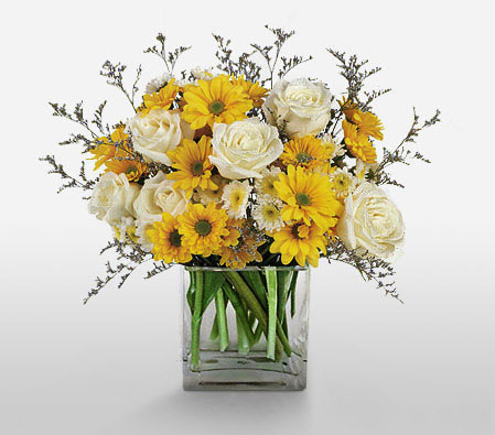 Glowing Fields-White,Yellow,Rose,Daisy,Arrangement