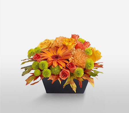 Cheerful Smiles-Green,Orange,Yellow,Carnation,Chrysanthemum,Gerbera,Rose,Arrangement