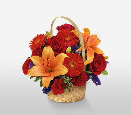 Blazing Bright-Orange,Red,Carnation,Daisy,Gerbera,Lily,Rose,Arrangement,Basket