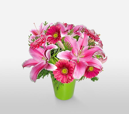 Sao Paulo-Pink,Gerbera,Lily,Arrangement