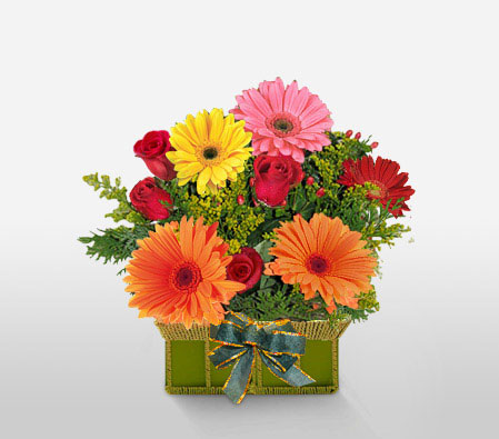 Beau Reveur-Green,Mixed,Orange,Red,Yellow,Daisy,Gerbera,Arrangement