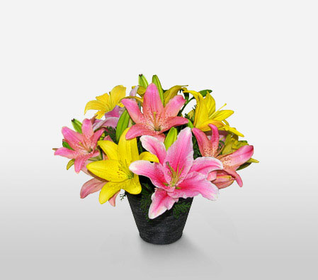 Brasilia-Pink,Yellow,Lily,Arrangement