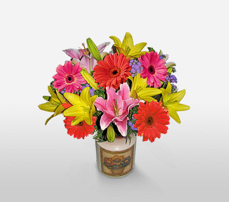 Rio Carnival-Blue,Mixed,Orange,Pink,Daisy,Gerbera,Lily,Arrangement