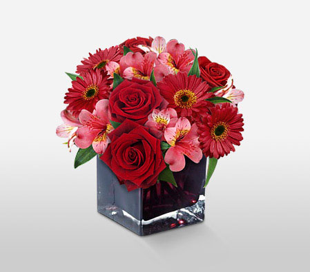 Saison Splendor-Pink,Red,Alstroemeria,Daisy,Gerbera,Rose,Arrangement