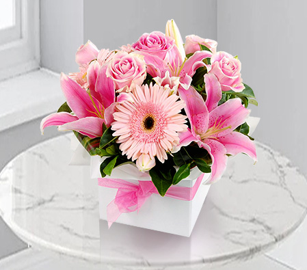 Lush Pink-Pink,Gerbera,Lily,Mixed Flower,Rose,Arrangement