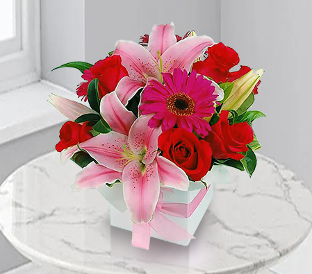 Bright Wonder-Pink,Red,Gerbera,Lily,Mixed Flower,Rose,Arrangement