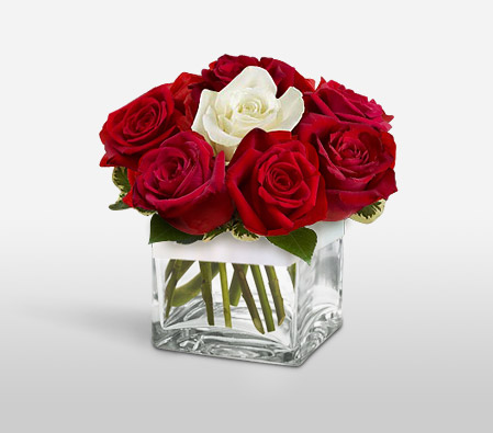 Merry Cher-Red,White,Rose,Arrangement