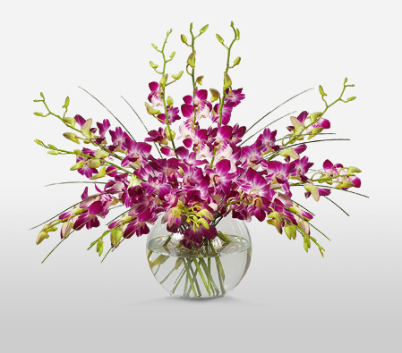 Purple Drops-Purple,Orchid,Arrangement