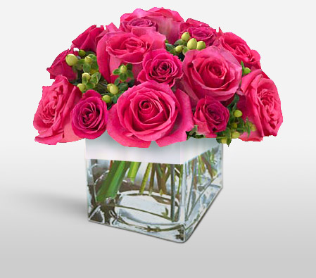 Color Up-Pink,Rose,Arrangement