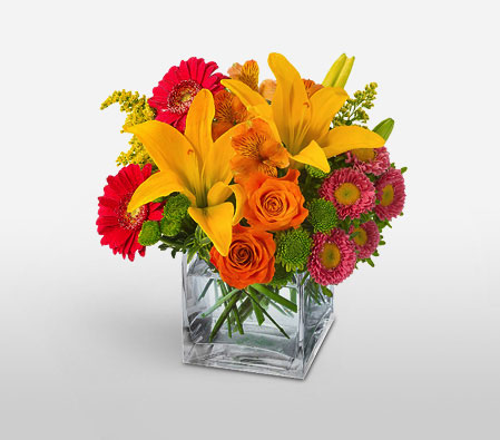 Pop Art-Green,Yellow,Red,Pink,Orange,Mixed,Chrysanthemum,Gerbera,Lily,Rose,Arrangement