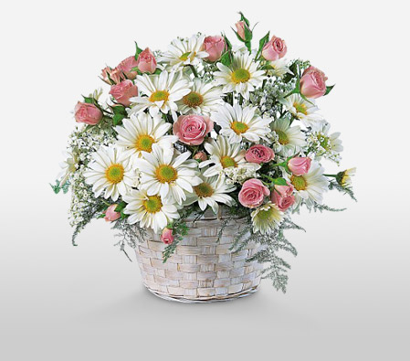 Garden Beauty-Peach,Pink,White,Daisy,Gerbera,Rose,Arrangement,Basket