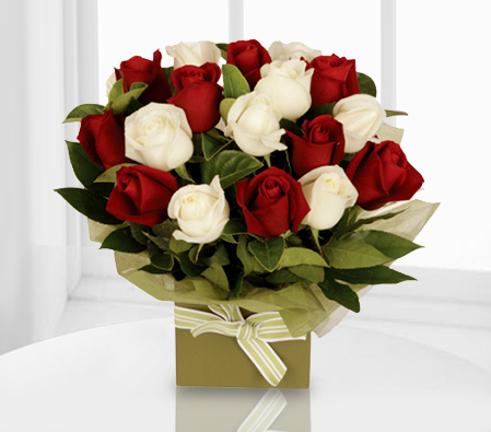 Romantico - 18 Red & White Roses-Red,White,Rose,Arrangement