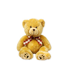 Teddy Bear (Large)