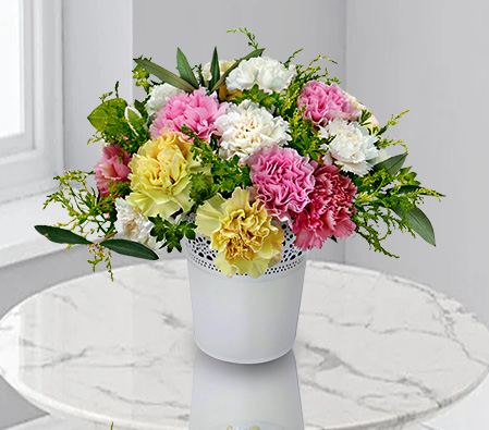 Happy dreams - Colorful Carnations-Colorful,Carnations,Pot,Pink,Yellow