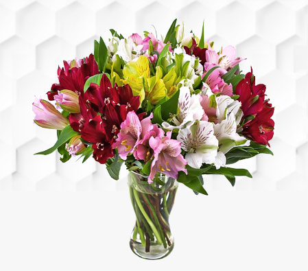 Alstroemeria Bouquet