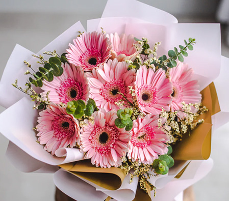 Pink Blush Gerberas