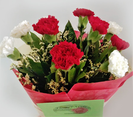 Red and White Carnations