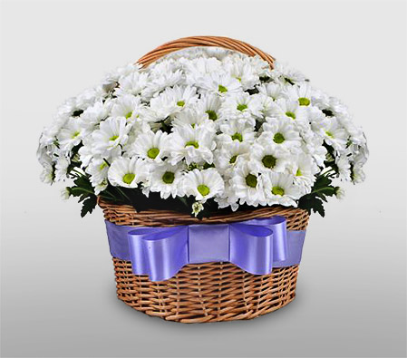 Field of Camomiles - Chrysanthemum Bouquet