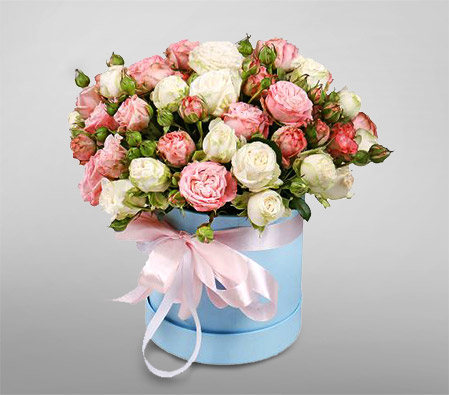 Delicate - Spray roses in a box