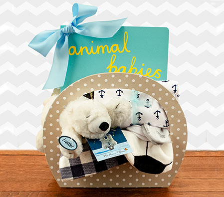 Boy Dreams Gift Basket