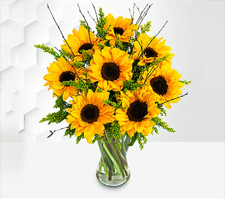 Sensational Sunflowers