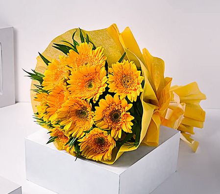 Sunshine Gerberas For Celebration