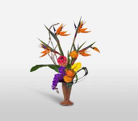 Tropical Exotica-Orange,Pink,Purple,Anthuriums,Birds of Paradise,Orchid