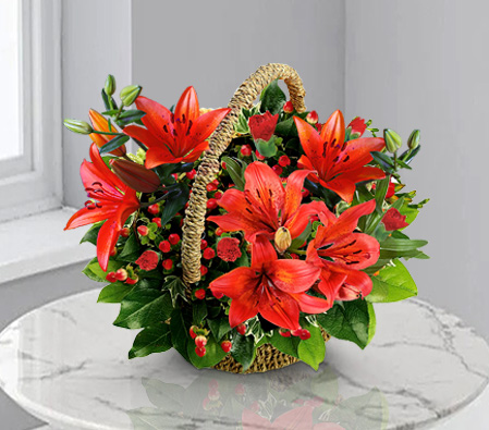 Rouge Love-Red,Lily,Carnation,Arrangement,Basket