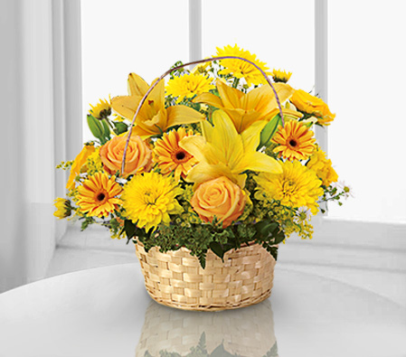 Camps Bay Colors-Yellow,Carnation,Chrysanthemum,Gerbera,Lily,Mixed Flower,Rose,Arrangement,Basket