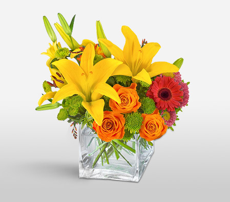 Artistry-Mixed,Orange,Pink,Red,White,Alstroemeria,Chrysanthemum,Gerbera,Lily,Mixed Flower,Rose,Arrangement