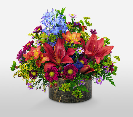 Central Park-Blue,Green,Orange,Daisy,Freesia,Lily,Arrangement