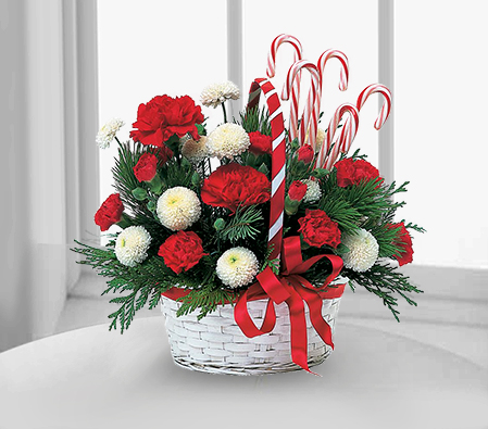 Christmas Candy Basket-Green,Mixed,Red,White,Carnation,Mixed Flower,Arrangement,Basket