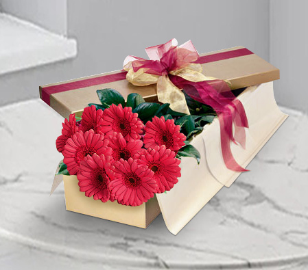 Adored - Red Gerberas-Red,Gerbera,Arrangement